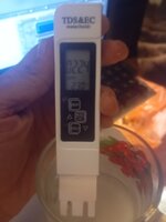 IMG_20261004_121857.jpg