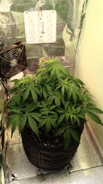 1000135192.jpg