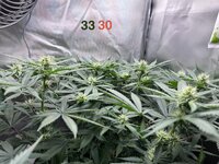 IMG_0479.jpeg