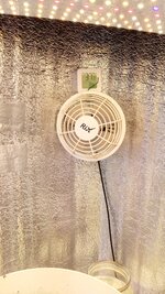 IMG_20261018_122144_327.jpg