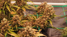 PA102282.JPG