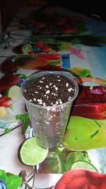 IMG_20261027_085331_226.jpg