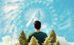 1793264934300.png 1793264934300.png