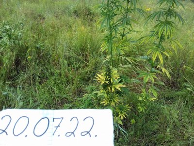 20160528_040556.jpg 20160528_040556.jpg