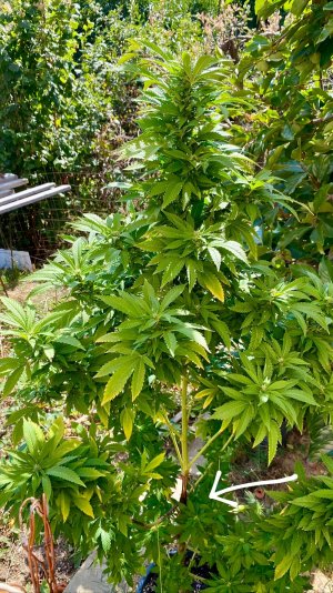 CC4D1B6B-9DE1-400E-B0F4-C0A3C3201FA4.jpeg