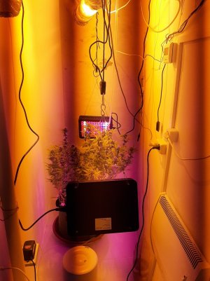 20220920_094049.jpg