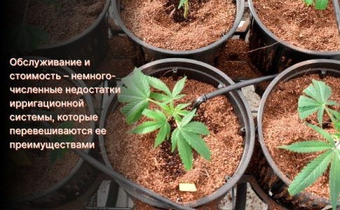 Недостатки использования ирригационной системы