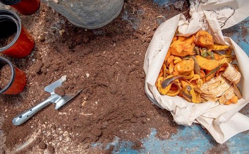Кофейная гуща и компост для конопли