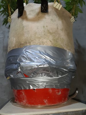 20221206_084532.jpg