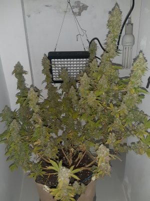 20221216_095537.jpg
