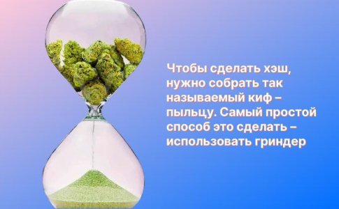 Как сделать хеш в домашних условиях Как сделать хеш в домашних условиях