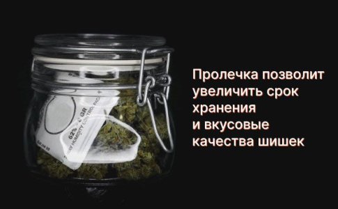 Хранение шишек конопли Хранение шишек конопли