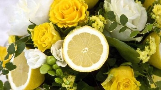 58B36051-1A11-4FAB-B1A3-507E02A02886.jpeg