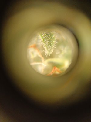 IMG20230218133639.jpg