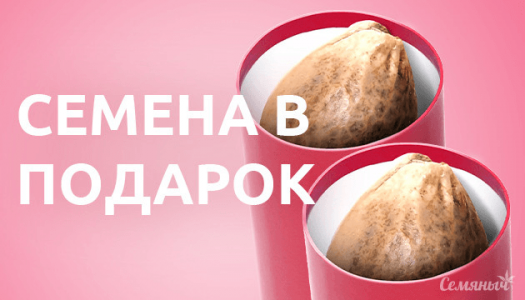 1678453664713.png 1678453664713.png