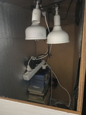 24768731-B3B1-4748-92FB-62F42343EE9D.jpeg