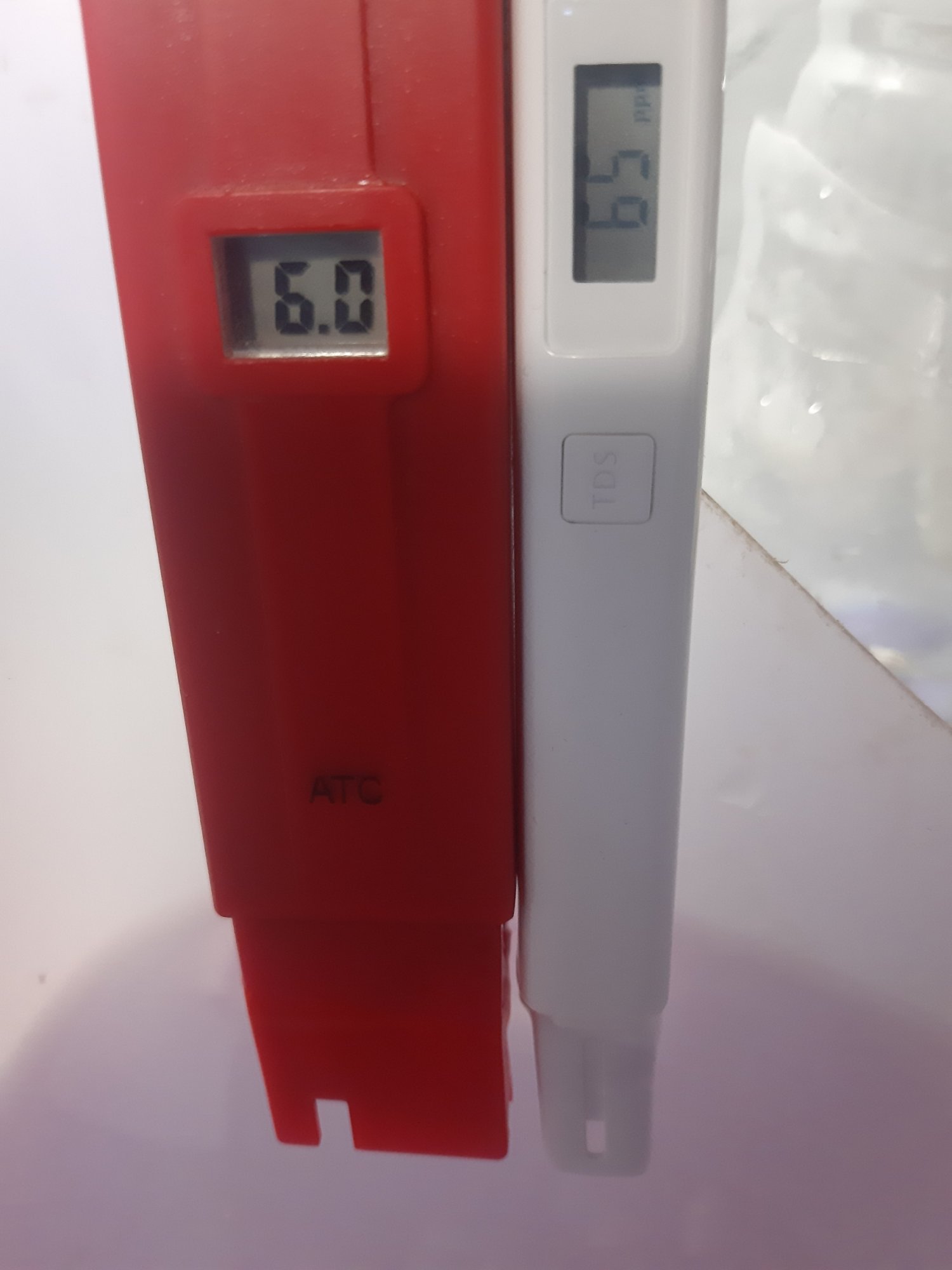 20230316_084143.jpg
