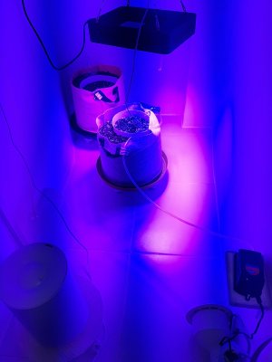 20230414_191821.jpg