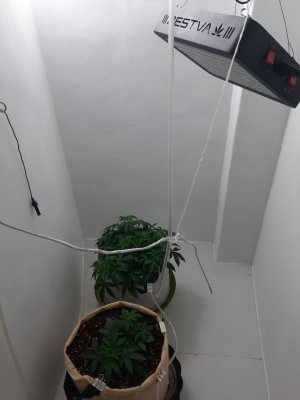 20230417_173955.jpg