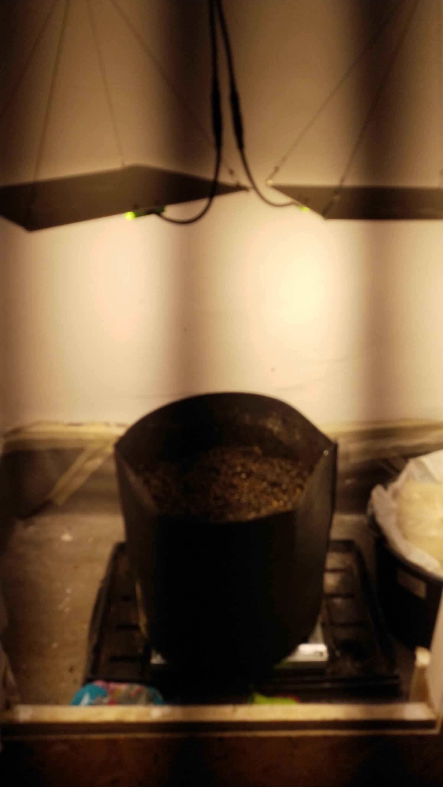 IMG_20230429_201047.jpg