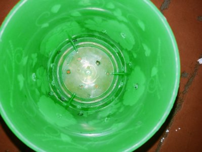 IMG20230504211100.jpg