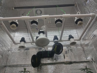 IMG_20230517_221352.jpg