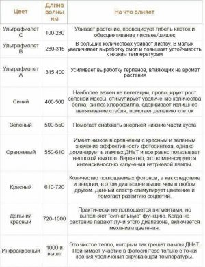IMG_7956.jpeg