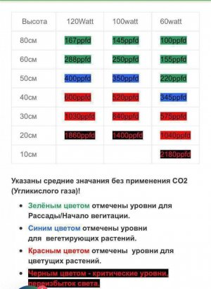 IMG_7952.jpeg