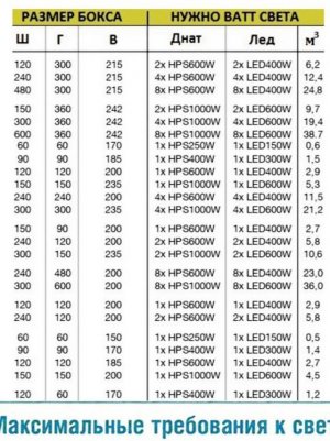 IMG_7950.jpeg