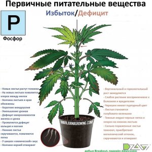 IMG_20230629_171447_862.jpg
