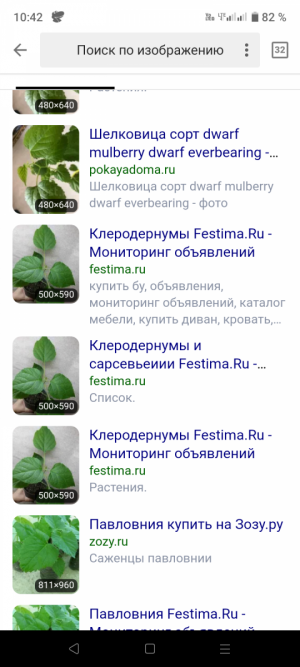 Screenshot_20230706-104228.png
