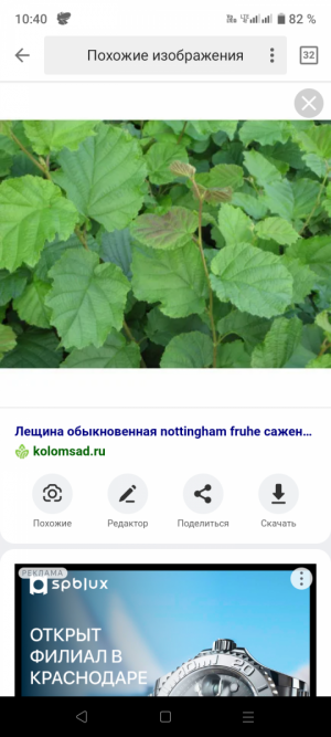 Screenshot_20230706-104020.png