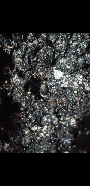 S30716-213407.png