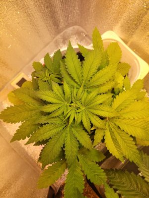 20230731_183715.jpg