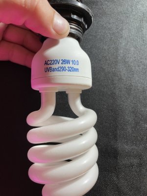 6D688807-CC4C-4CF5-B80F-951642975CC2.jpeg
