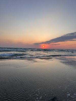 IMG_1545.jpeg