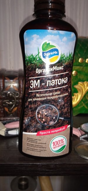 IMG_20230918_070312.jpg