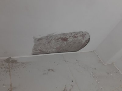 20230919_201813.jpg 20230919_201813.jpg
