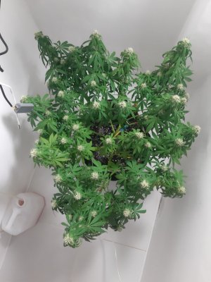 20231024_204601.jpg
