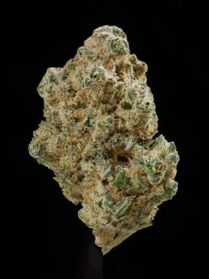 Maui Wowie.jpg