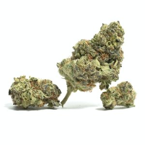 WiFi OG.jpg