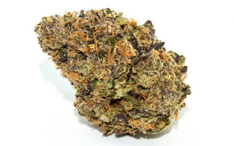 Zkittlez-by-Pistil-Point-web-1024x640.jpg