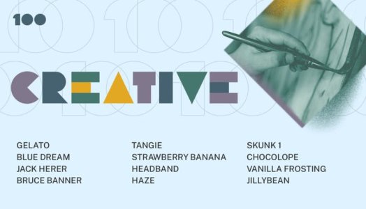 100strains-Categories-v2-Creative-1920x1100-1x-1024x587.jpg 100strains-Categories-v2-Creative-1920x1100-1x-1024x587.jpg