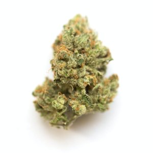 Jack Herer.jpg Jack Herer.jpg