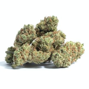 Dutch Treat.jpg