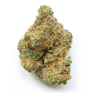 GSC.jpg GSC.jpg