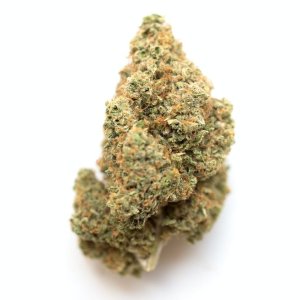 alien og.jpg alien og.jpg