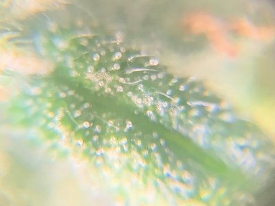 imgonline-com-ua-dexifx0521wS7Z3dP.jpg