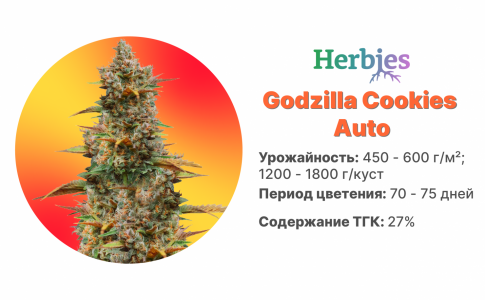 Godzilla-Cookies-Auto
