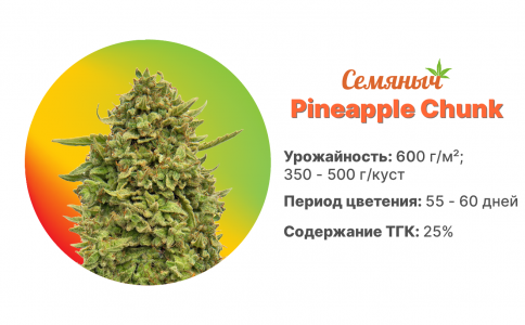 Pineapple Chunk Pineapple Chunk